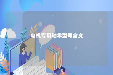 电机专用轴承型号含义 